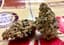 Kush Mints Buds 28 Gram