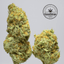 Black Cherry Punch Buds 14 Gram