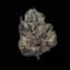 White Truffle Buds 14 Gram