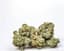 Ya Hemi Buds 1 Gram