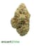 Black Dog Buds 15 Gram