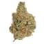 Hashburger Buds 3.50 Gram