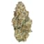 Astronaut Status Buds 3.50 Gram