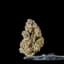 Pineapple Bang Buds 3.50 Gram