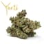 Jordanz Buds 3.50 Gram