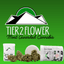 Glitter Bomb Buds 3.50 Gram