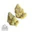 Orange Push Pop Buds 1 Gram