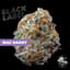 Mac Daddy Buds 3.50 Gram