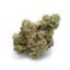 Gary Payton Buds 3.50 Gram