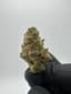 Motor Head Buds 3.50 Gram