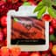 Acerola Gummies 25 Mg