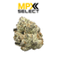 Truffle Milk Buds 3.50 Gram