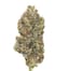 Blue Pave Buds 3.50 Gram