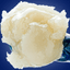 Tropicana Cookies Rosin 3.50 Gram