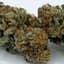 Platinum Kush Buds 3.50 Gram