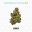 Gmo Shake 14 Gram