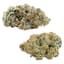 Purple Cherry Punch Buds 28 Gram