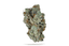 Grease Monkey Buds 3.50 Gram