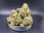 Kosher Cookies Buds 28 Gram