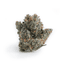 Guava Lava Buds 3.50 Gram