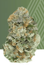 Mercy Buds 7 Gram