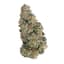 Sangria Buds 28 Gram