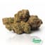 Cherry On Top Buds 7 Gram