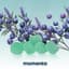 Blueberry Lavender Gummies Cbn 20 Mg