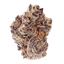 Peanut Butter Cup Buds 7 Gram