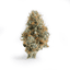 Black Triangle Kush Buds 3.50 Gram