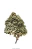 Sweetie Pie Buds 28 Gram