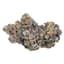 Fritter Buds 3.50 Gram