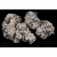 Animal Mints Buds 3.50 Gram