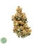 Peanut Butter Breath Buds 3.50 Gram