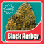 Black Amber Buds 14 Gram