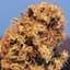 Snoop Dogg Og Buds 28 Gram