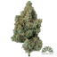 Stargazer Buds 3.50 Gram