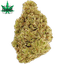 Motorbreath Buds 3.50 Gram