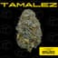 Tamalez Buds 1 Gram