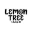 Lemon Tree Buds 10 Gram