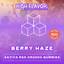 Berry Gummies 100 Mg