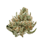 Sherb Buds 28 Gram
