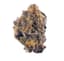 Chemical Cookies Buds 14 Gram