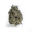 Swamp Gas Buds 28 Gram