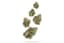 Malibu Pure Kush Buds 7 Gram