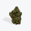 Mimosa Buds 28 Gram