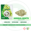 Animal Mints Buds 2.83 Gram