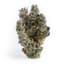 Now N Laters Buds 28 Gram