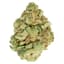 Sweet Berry 28 Gram Flower Buds