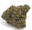 Gastro Pop Buds 7 Gram